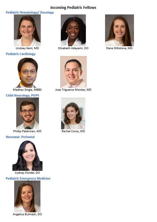 fellows